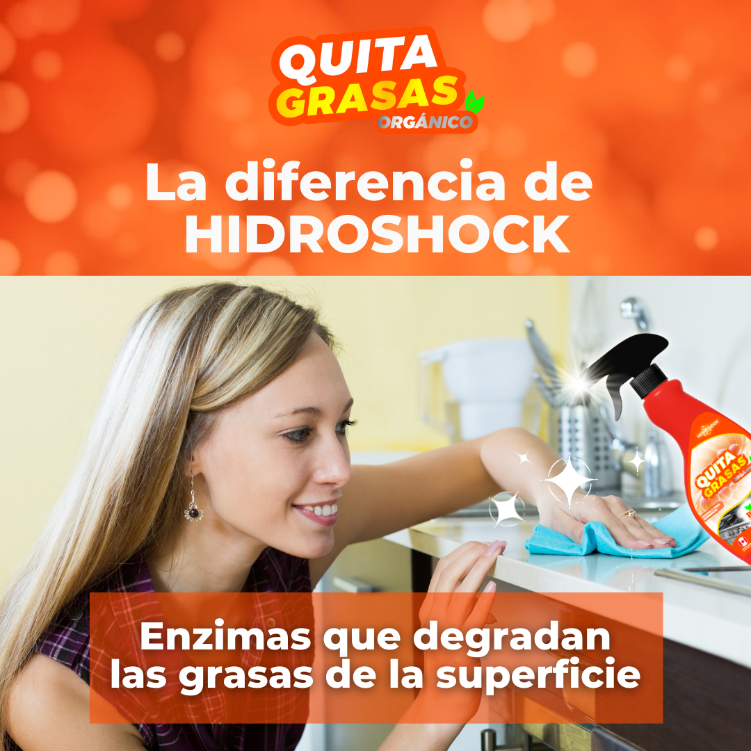 Quita Grasas Recarga rinde 3 LT (Incluye envase VACÍO de 3 LT para diluir)
